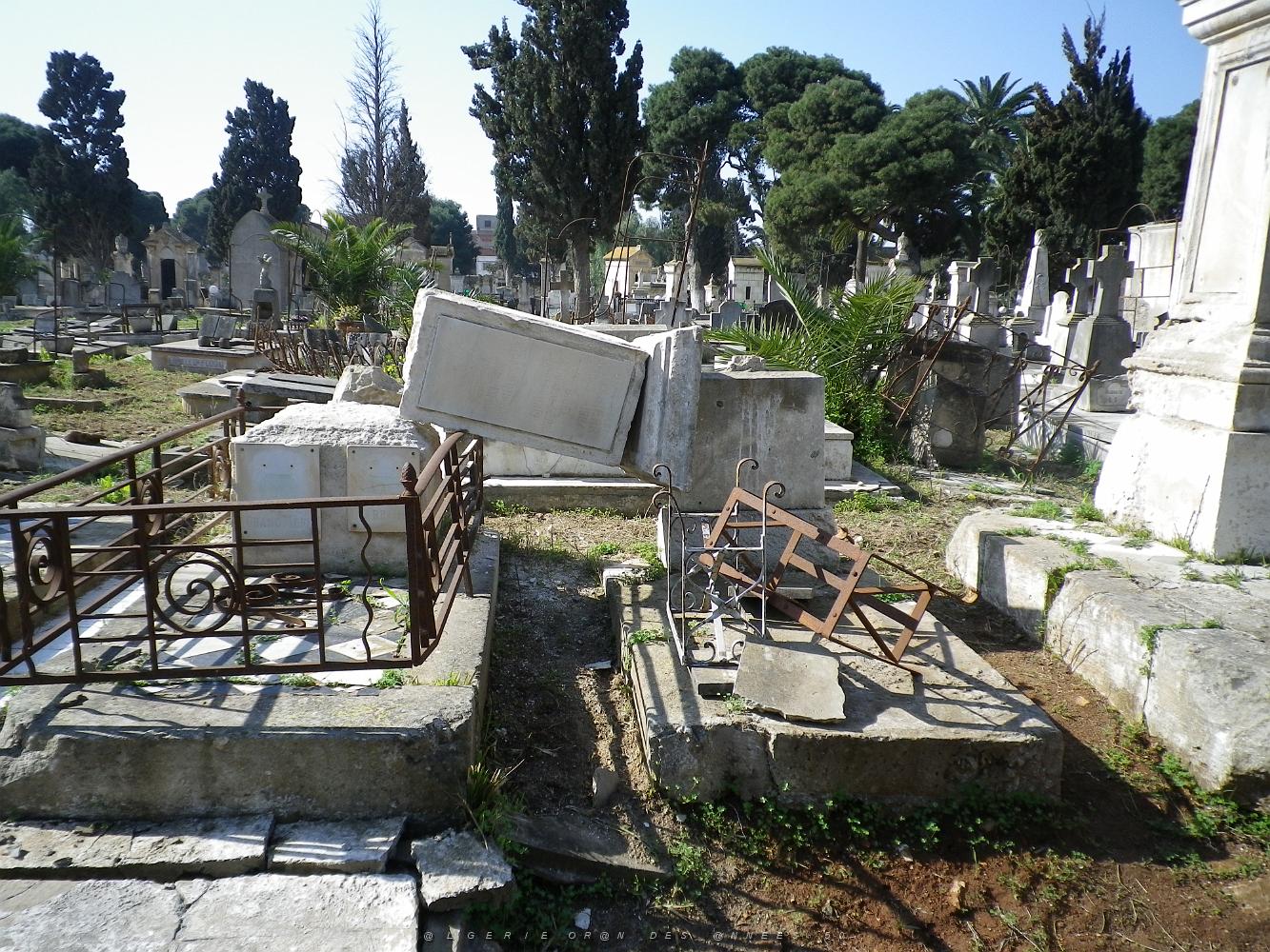 CIMETIERE DE TAMAZOUHET D ORAN EN MARS 2012  (129).JPG